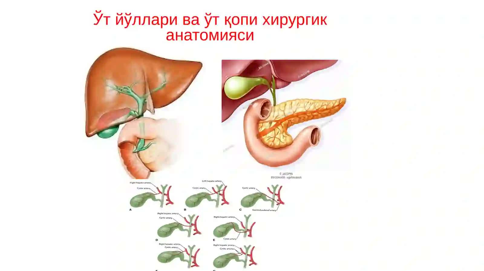 O'tkir xolisestit 4