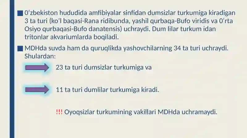 Suvda hamda quruqlikda yashovchilar sinfi sistematikasi. 4