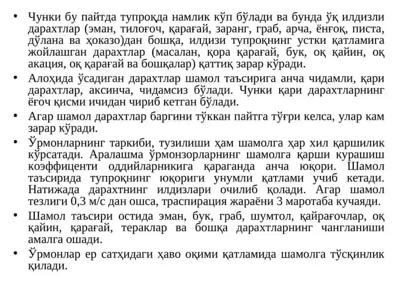 Ўрмон ва шамол 4