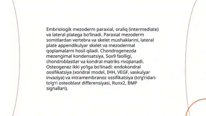 Somitalarning hosil bo‘lishi va skelet-mushak tizimi ontogenezi 4