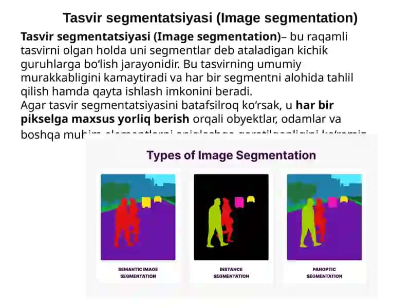 Kirish tasvirlarini qayta ishlash 4