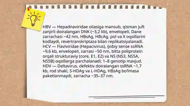 Gepatit B, C, D kasalliklari 4