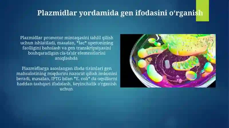 Plazmidlar vaularningqo'llanilishi 4