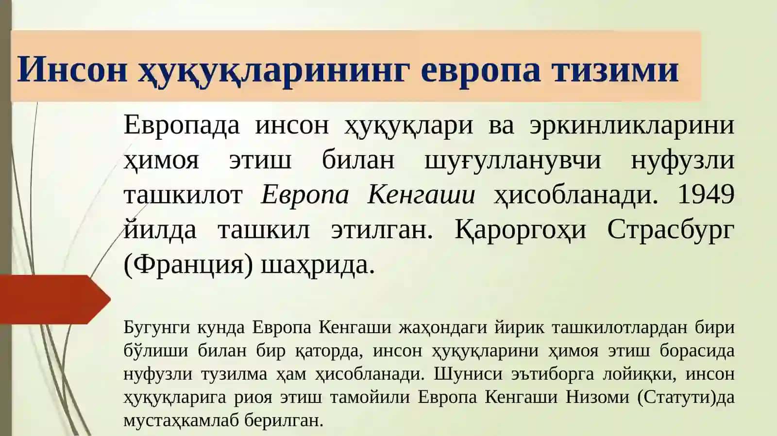 Инсон Ҳуқуқларибўйича Минтақавий Тизимлари 4