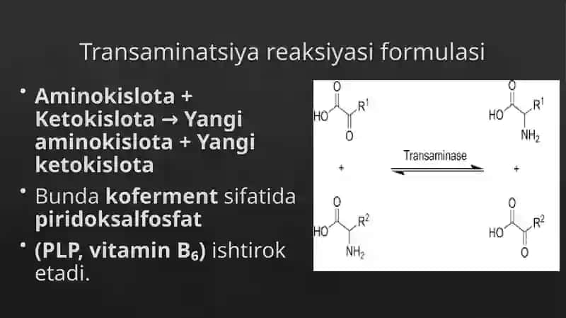 Transaminazalarning klinik ahamiyati katepsinlar va ularning klinik ahamiyati giperammoniemiya turlari ularga tashxis qo’yishda klinik ahamiyati 4