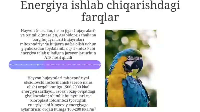 Oʻsimlik va hayvon hujayralarining oʻxshashlik va farqli jihatlari 4