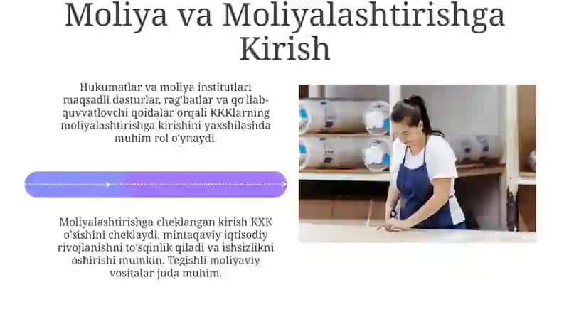 Kichik va o'rta biznes innovatsiyasi va mintaqaviy raqobatbardoshlik 4