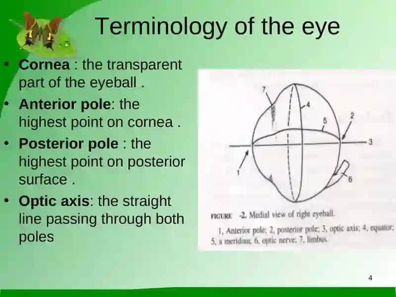 The Eye 4