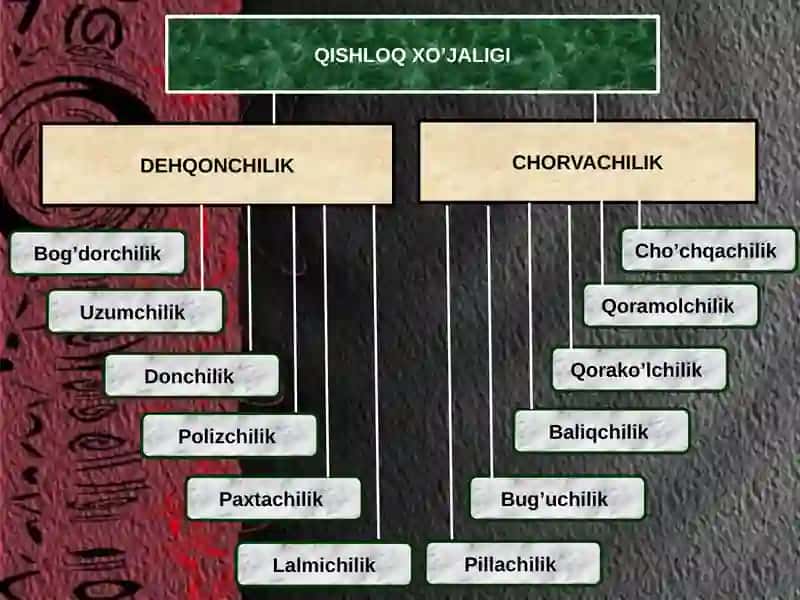 Qishloq xo'jaligi 4