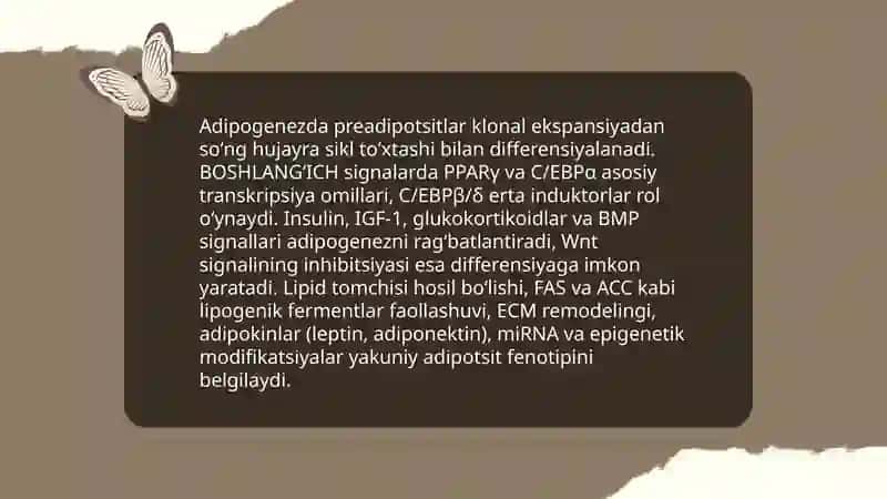 Yoĝ tóqimasida yoĝlarning tòplanishi va sarflanishi 4