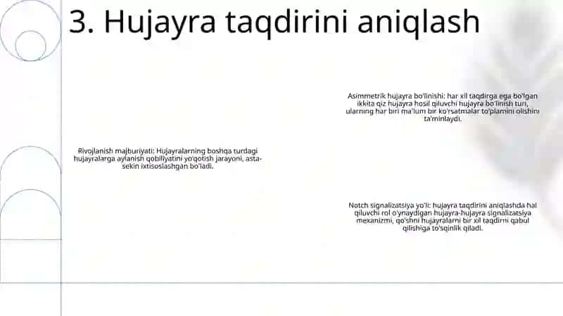 Rivojlanish Biologiyasi 4