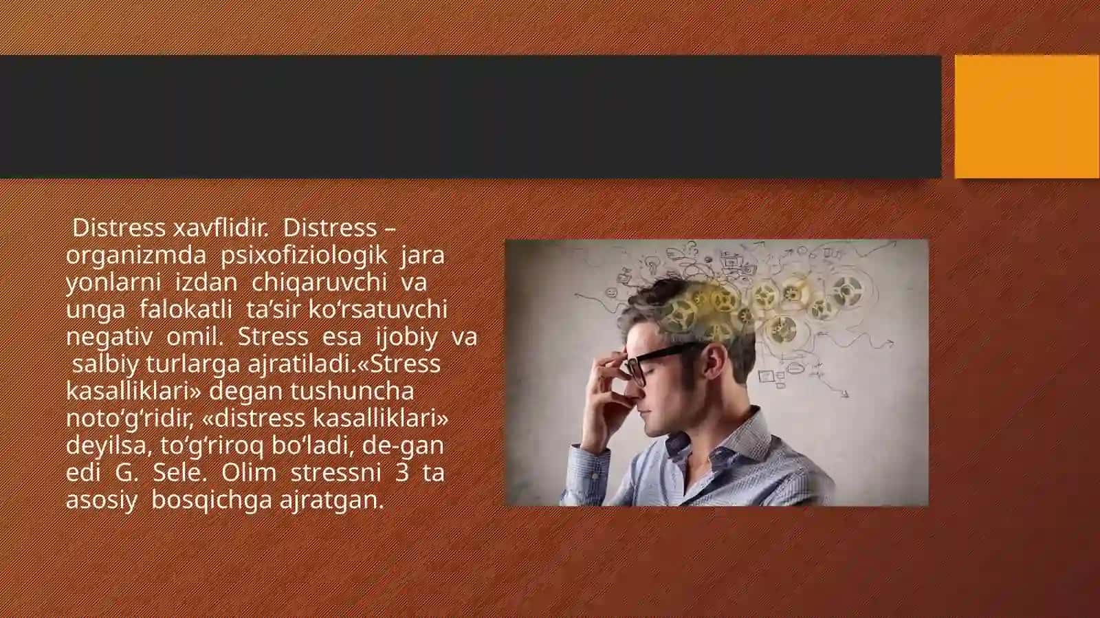 Stress rivojlanishini zamonaviy nazariyasi 4