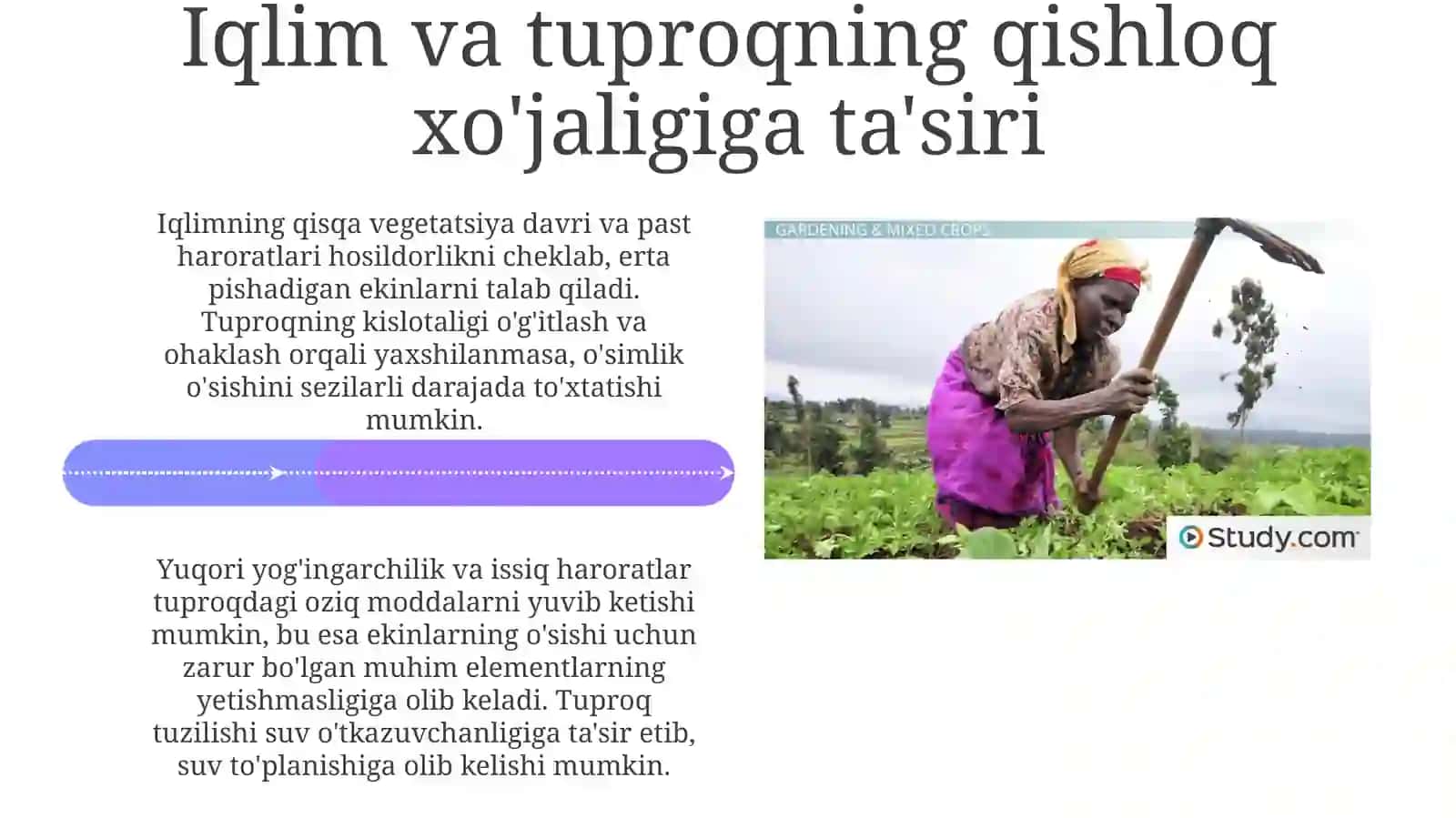 Sanoat va qishloq xoʻjaligi geografiyasi 4
