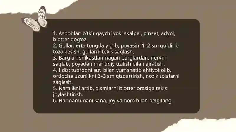 Gerbariy tayyorlash va tayyorlash usullari haqida ma'lumot berish 4
