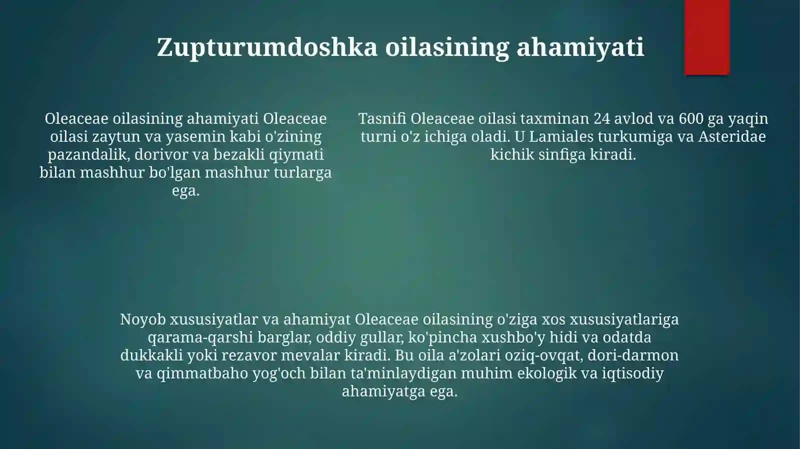 Zaytundoshlar Oilasi 4