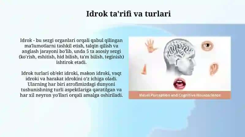 Sezgi va Idrok: Ta'riflar va Turlari 4