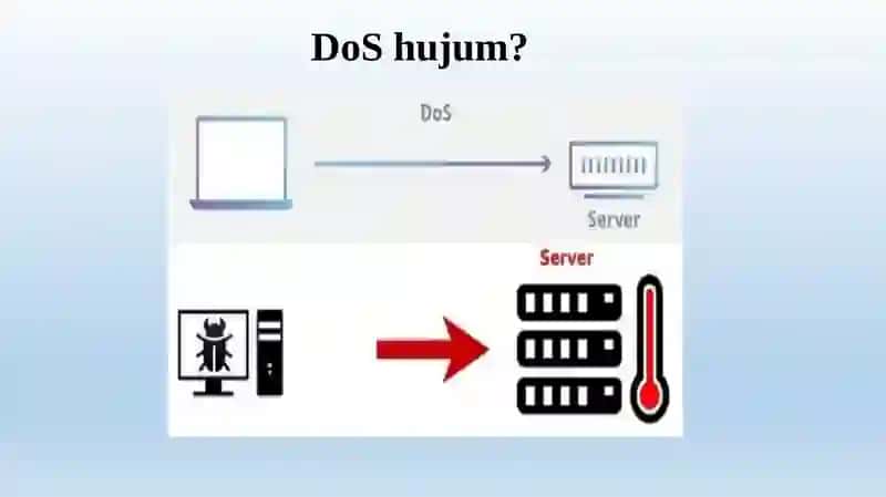 Hujum Turlari 4