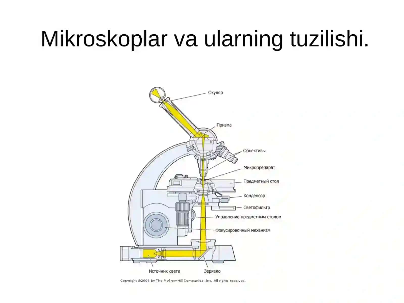 Bakteriologik, virusologik va immunologik laboratoriyalarda ishlash qoidalari 4
