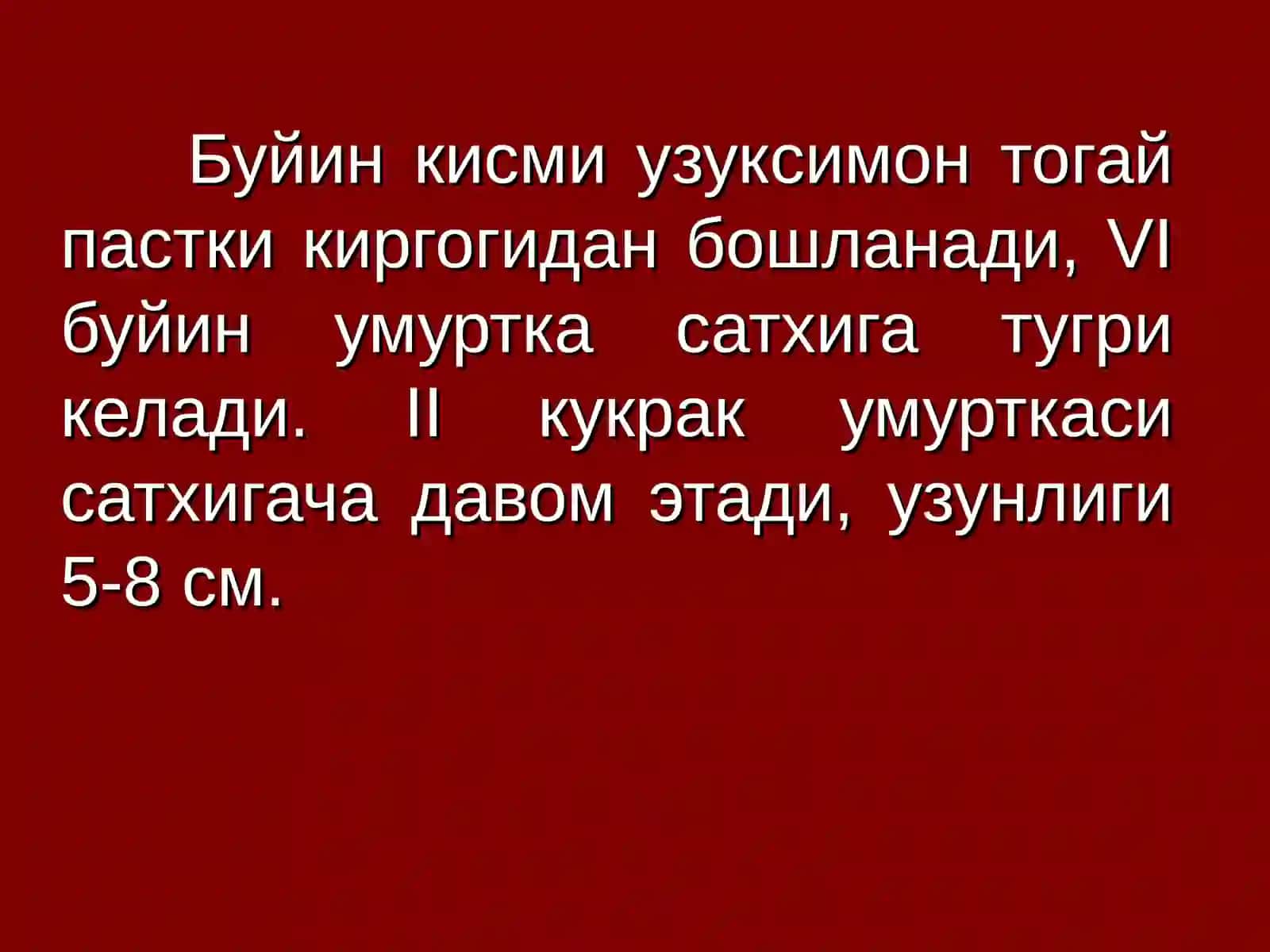 КИЗИЛУНГАЧ САРАТОНИ 4