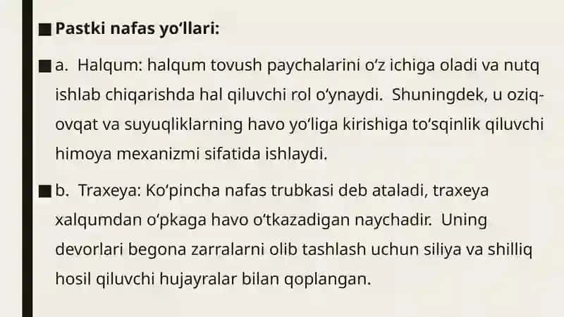 Nafas olish tizimi a’zolarining qiyosiy gistologik tavsifi. 4