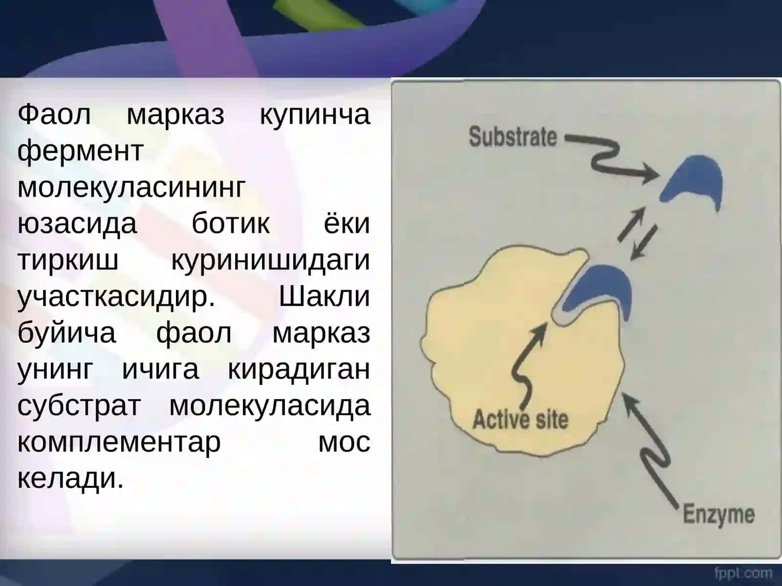Ферментнинг фаол маркази 4