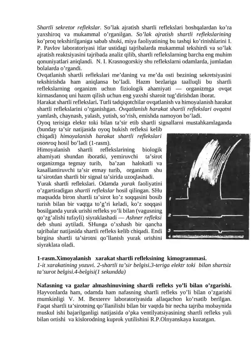 OLIY NERV FAOLIYATINING PRINSIPLARI VA TEKSHIRISH USULLARI 4