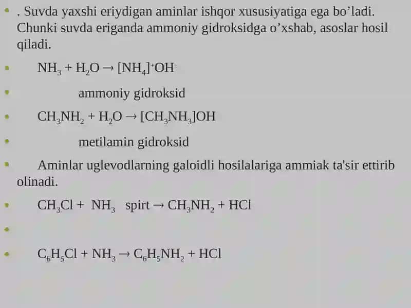 Aminlar 4