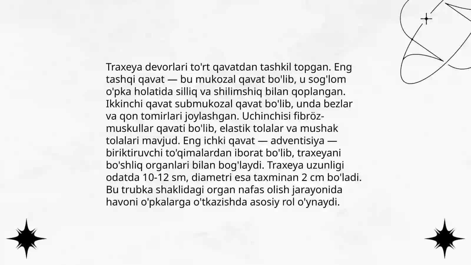 Traxeya va bronxlar anatomiyasi va fiziologiyasi 4