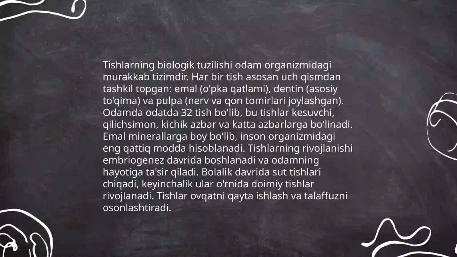Doimiy tishlovdagi chaynov tishlarining tuzilishi 4