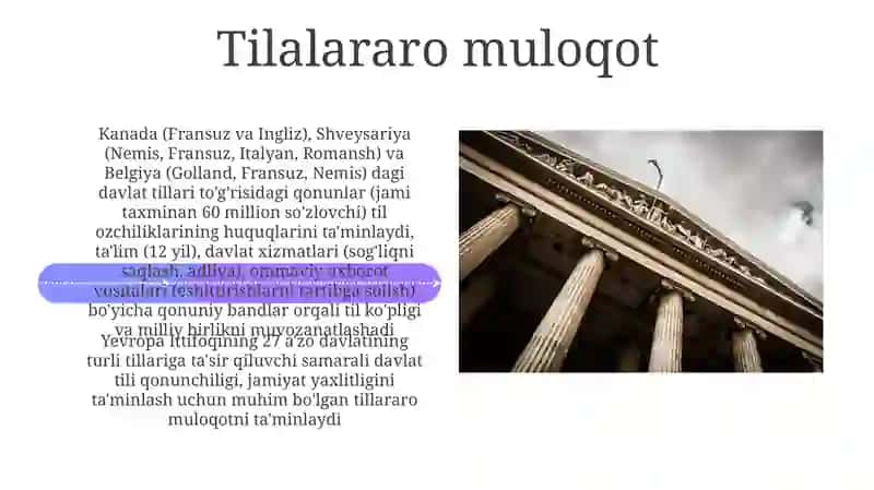 Davlat tili haqidagi qonunning mazmun mohiyati 4