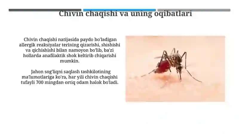 Bit Burga Suvaraklar va Pashsha Chivinlar 4