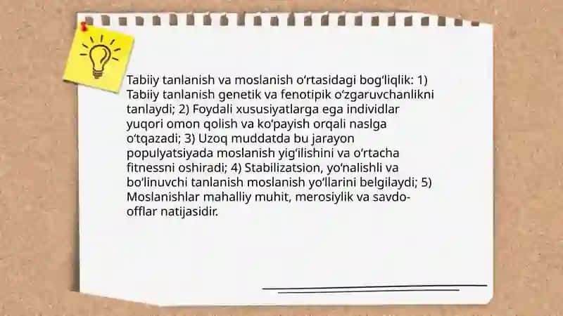 Adaptatsiya-moslanish 4