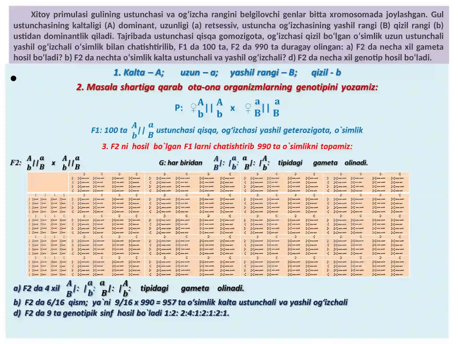 GENETIKA ASOSLARI MASALALLAR YECHISHNI O`RGANAMIZ 4