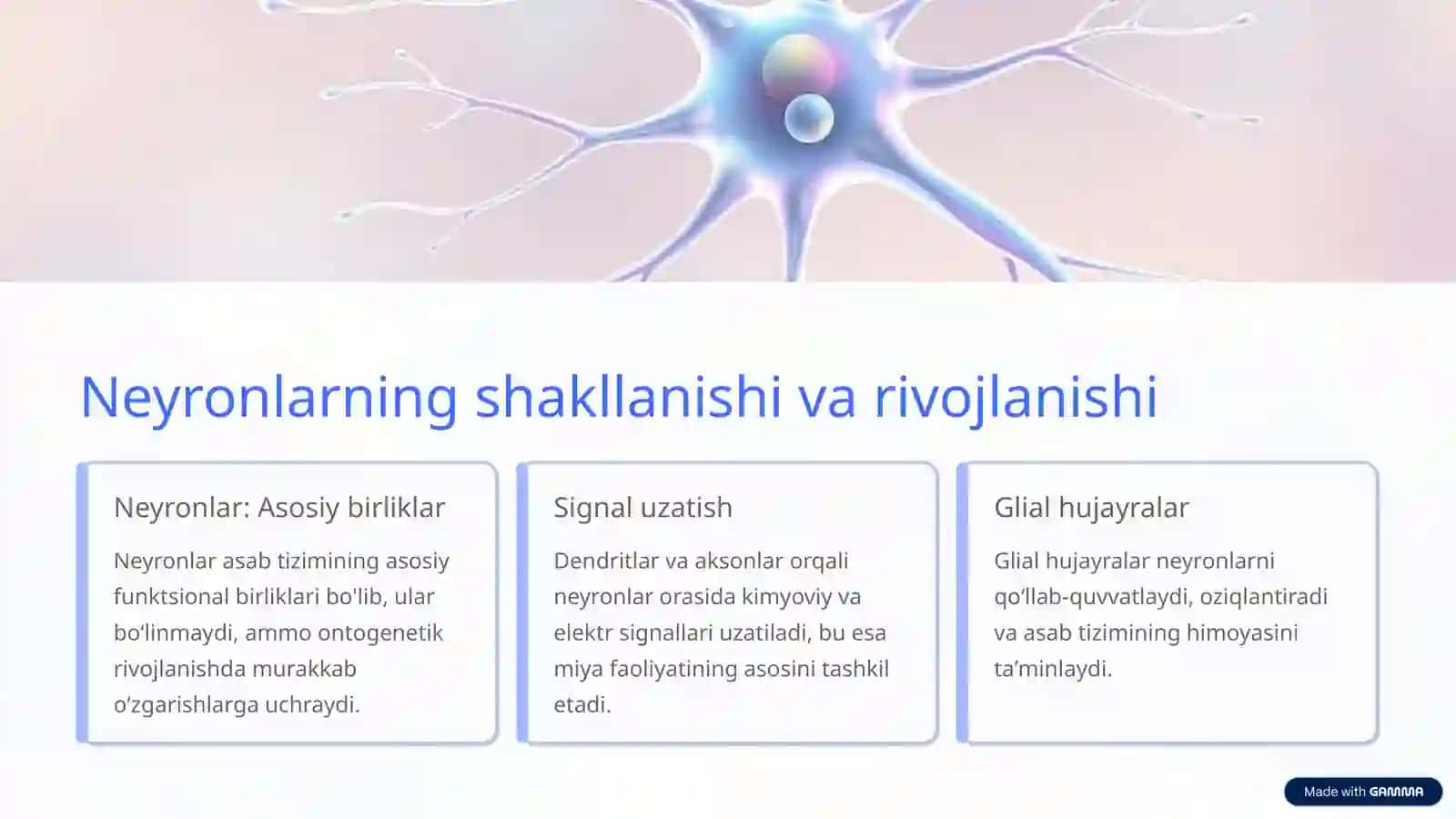 Asab Tizimining Ontogenezi: Rivojlanish Yoʻli va Tuzilishi 4