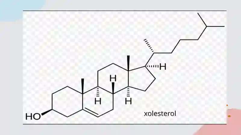 Xolisterintashilishidaqatnashuvchiapo-oqsillar 4