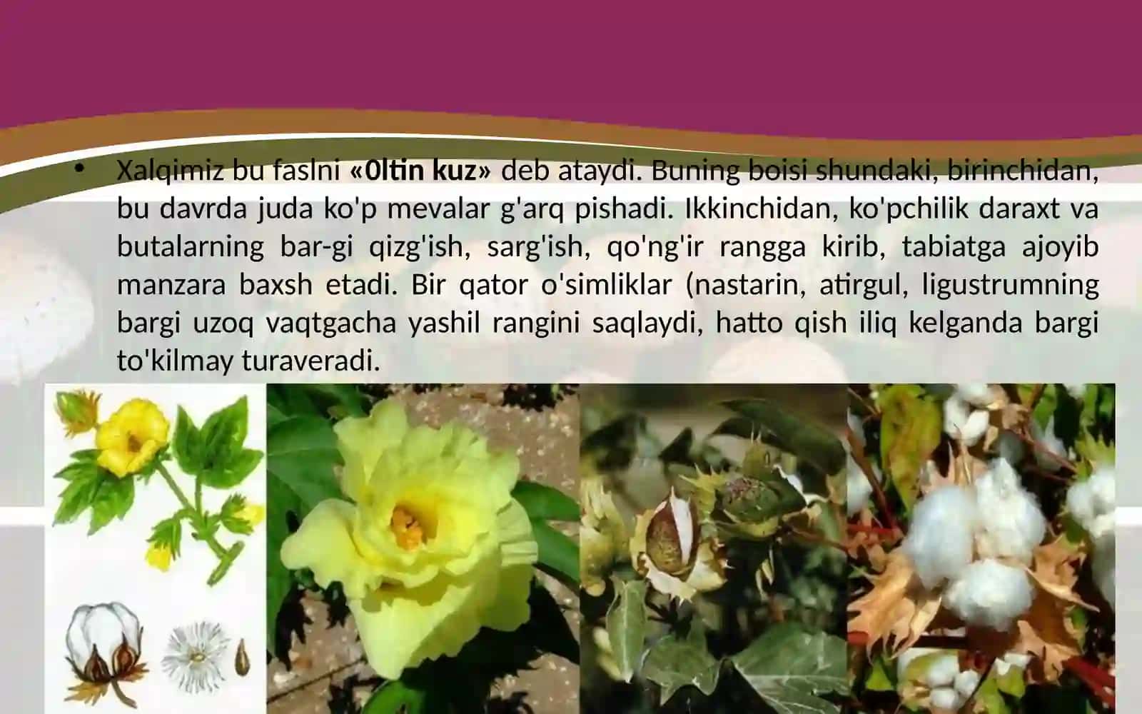 6-sinf Botanika Kuzda o'simliklar hayotida ro'y beradigan o'zgarishlar 4