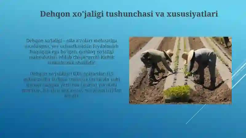 Dehqon xo'jaliklarining huquqiy holati 4