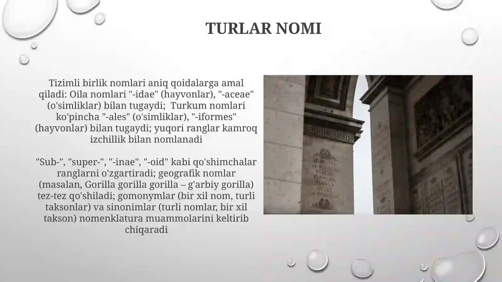 Bakteriya va Arxeylarni Nomlash Konventsiyalari 4