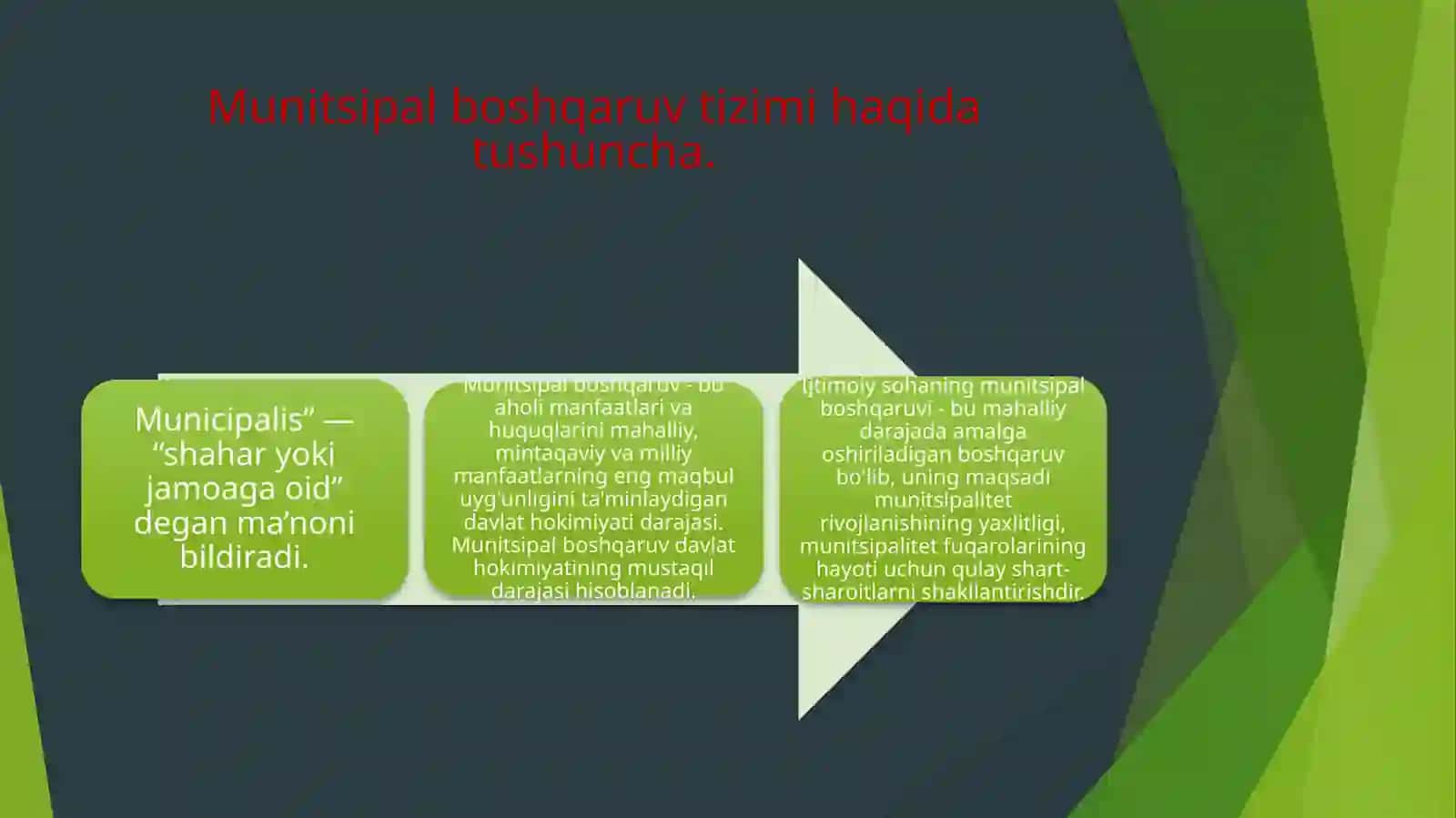 Munitsipal boshqaruv tizimida ijtimoiy ish amaliyotining tashkiliy tuzilmasi 4