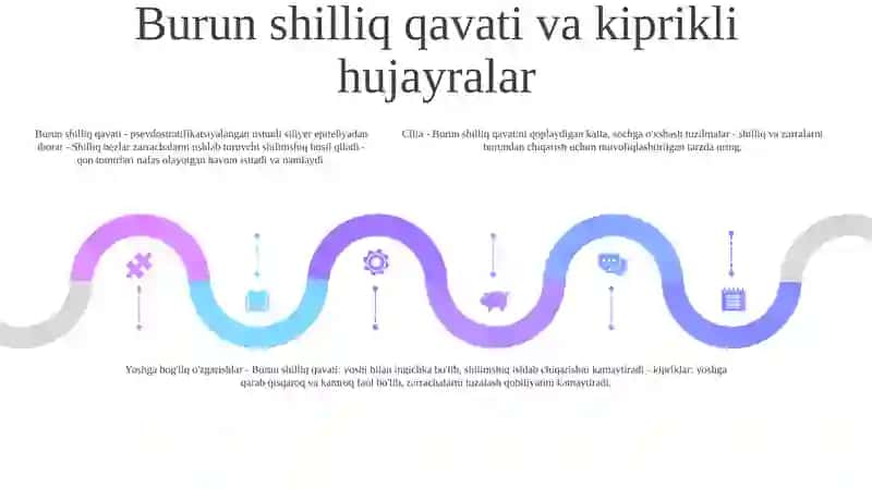 Burun Bo'Shlig'Ining Tuzulishi Va Yoshga Qarab O'Zgarishi 4