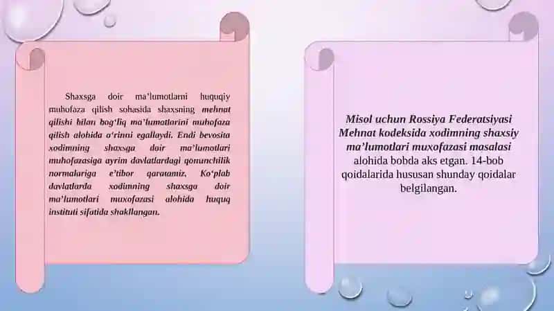 Xodimlarning Shaxsga Doir Ma'lumotlarni Himoq Qilish Tushunchasi va Kafolatlari 4