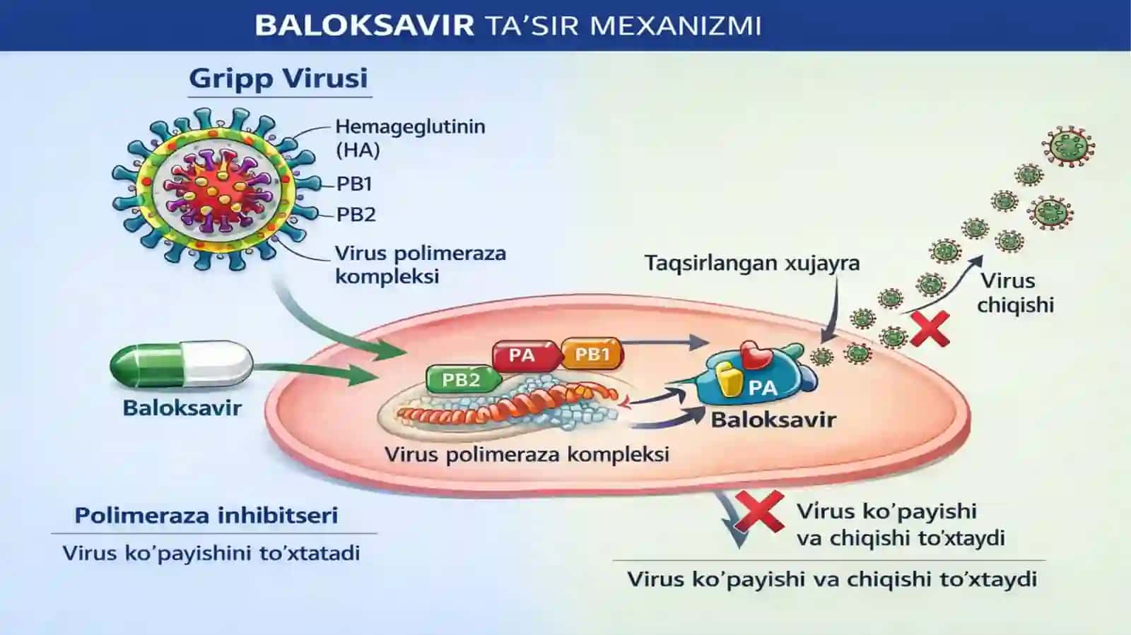 Virusga qarshi preparatlar 4