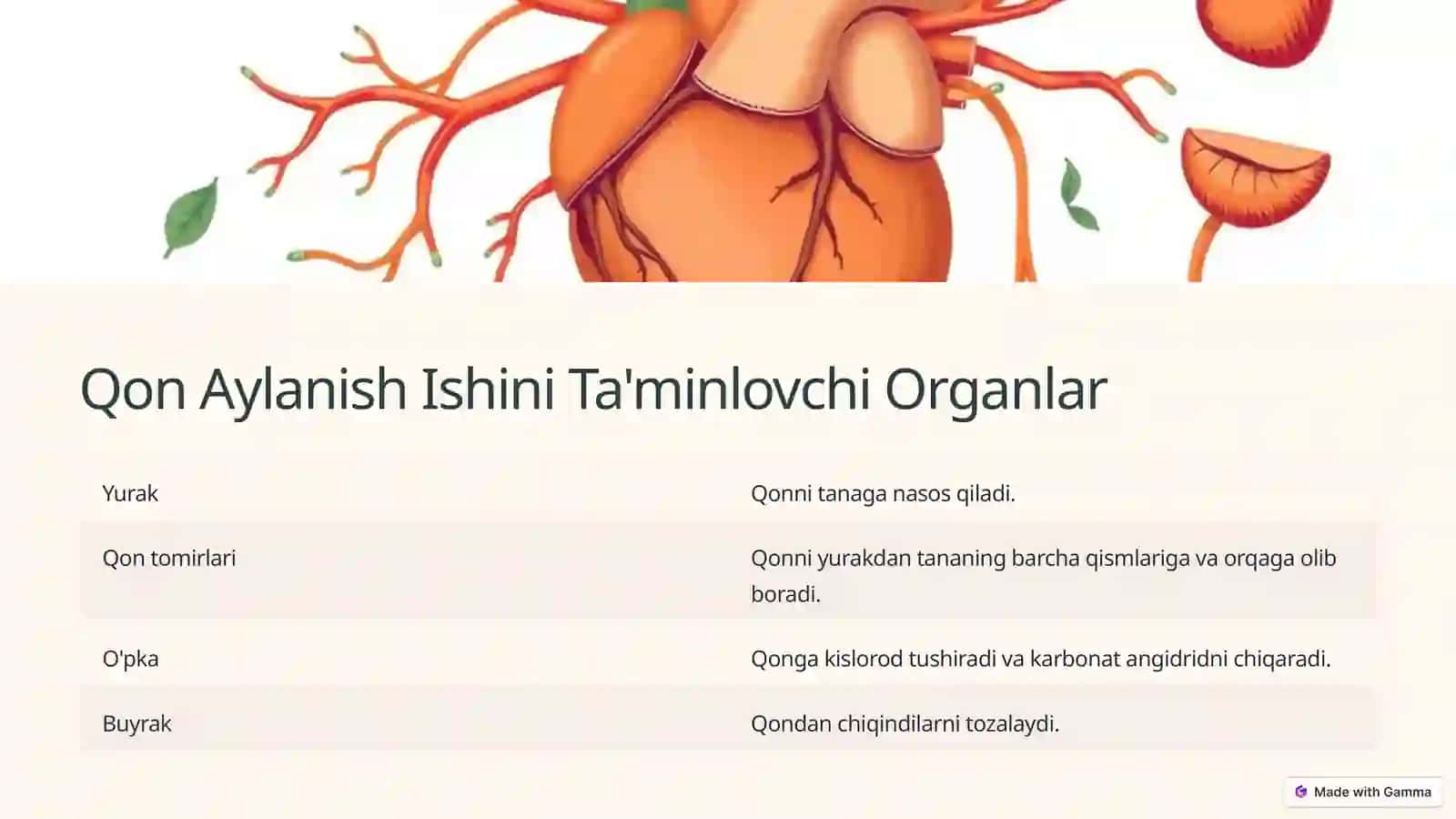 Qon Aylanish 4