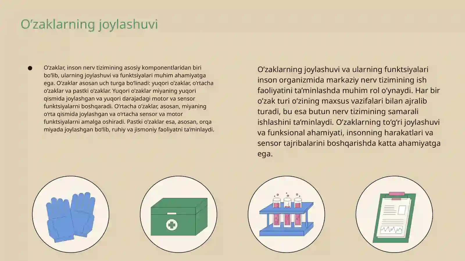 Orqa miya o’zaklarining joylashuvi va ularning axamiyati 4