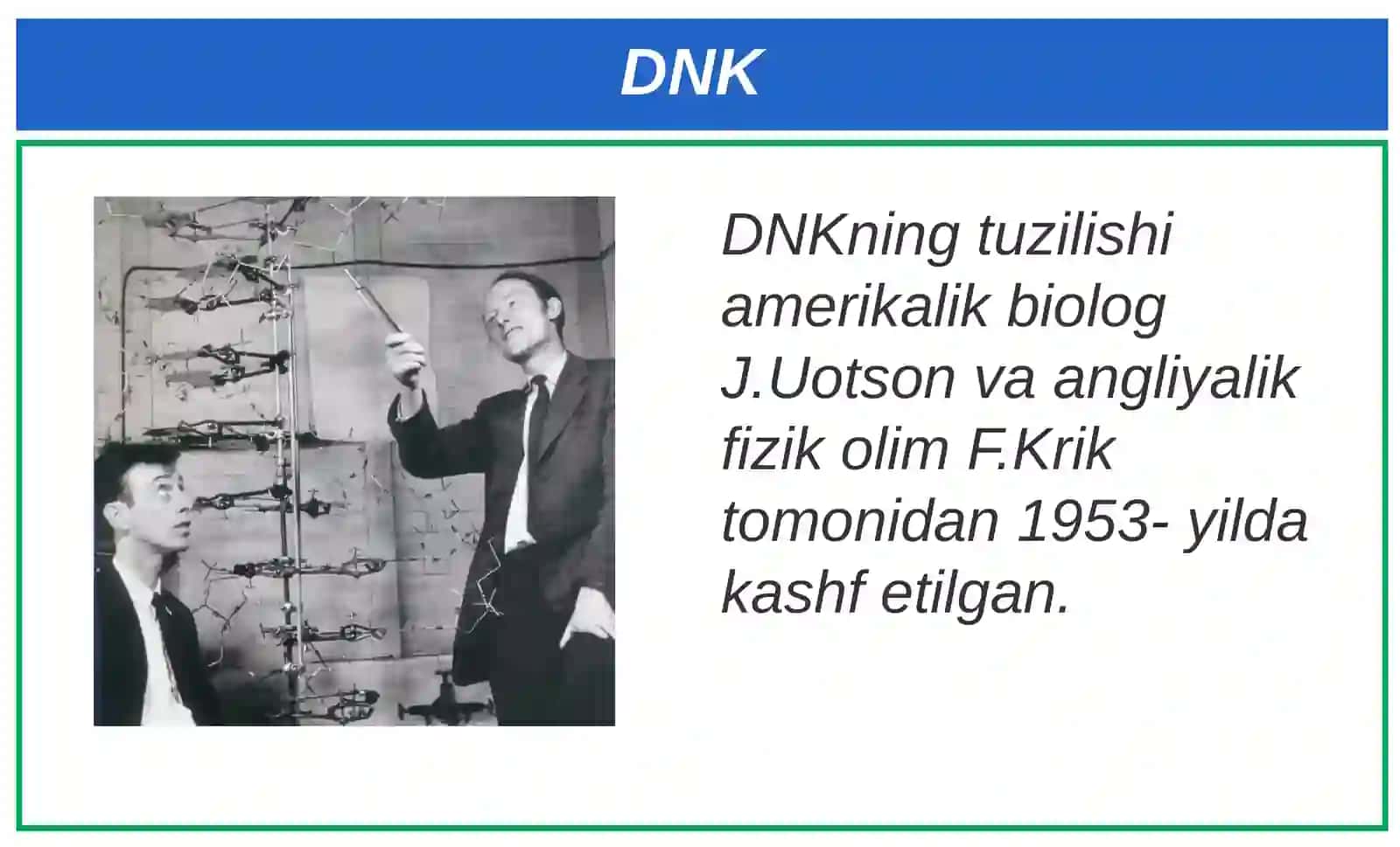 Nuklein kislotalar. Nukleotidlar. DNK 4