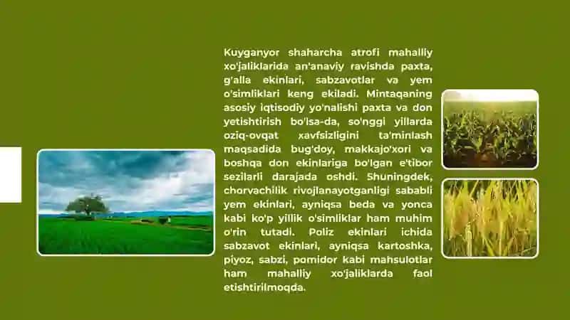 Yashab turgan hududda yetishtiriladigan asosiy ekinlar va ularning almashlab ekish tizimidagi o'rni. 4