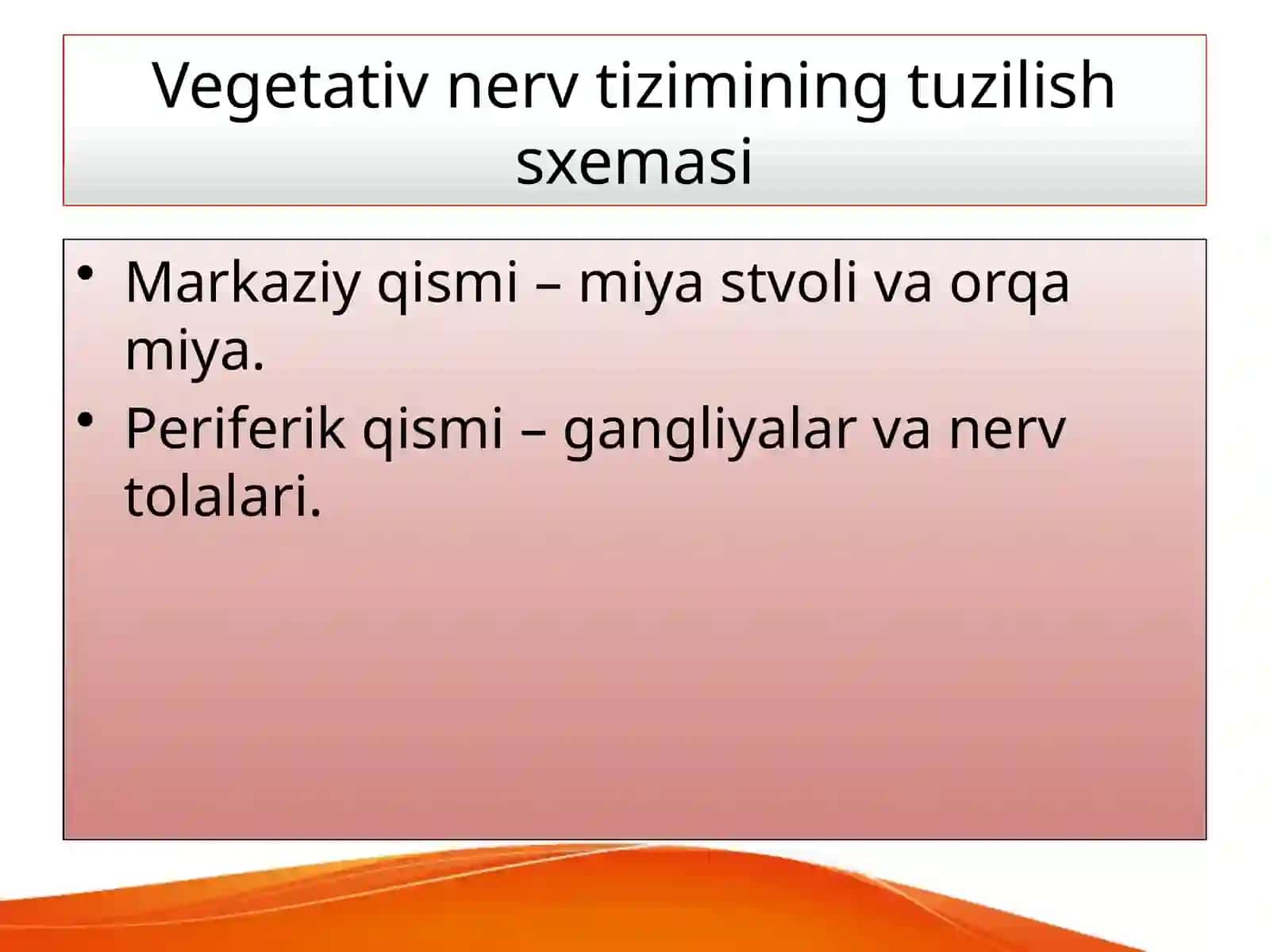 Vegetativ nerv tizimi 4