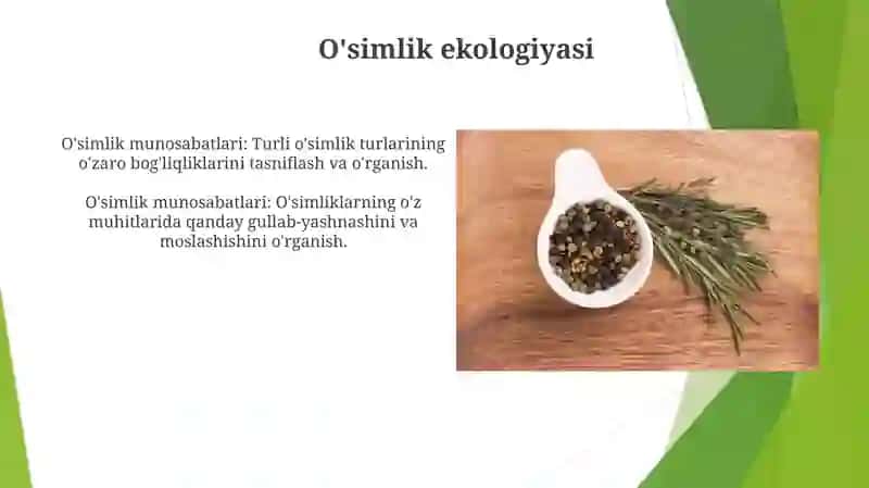 O'simlikning Vegetativ va Generativ Organlari 4