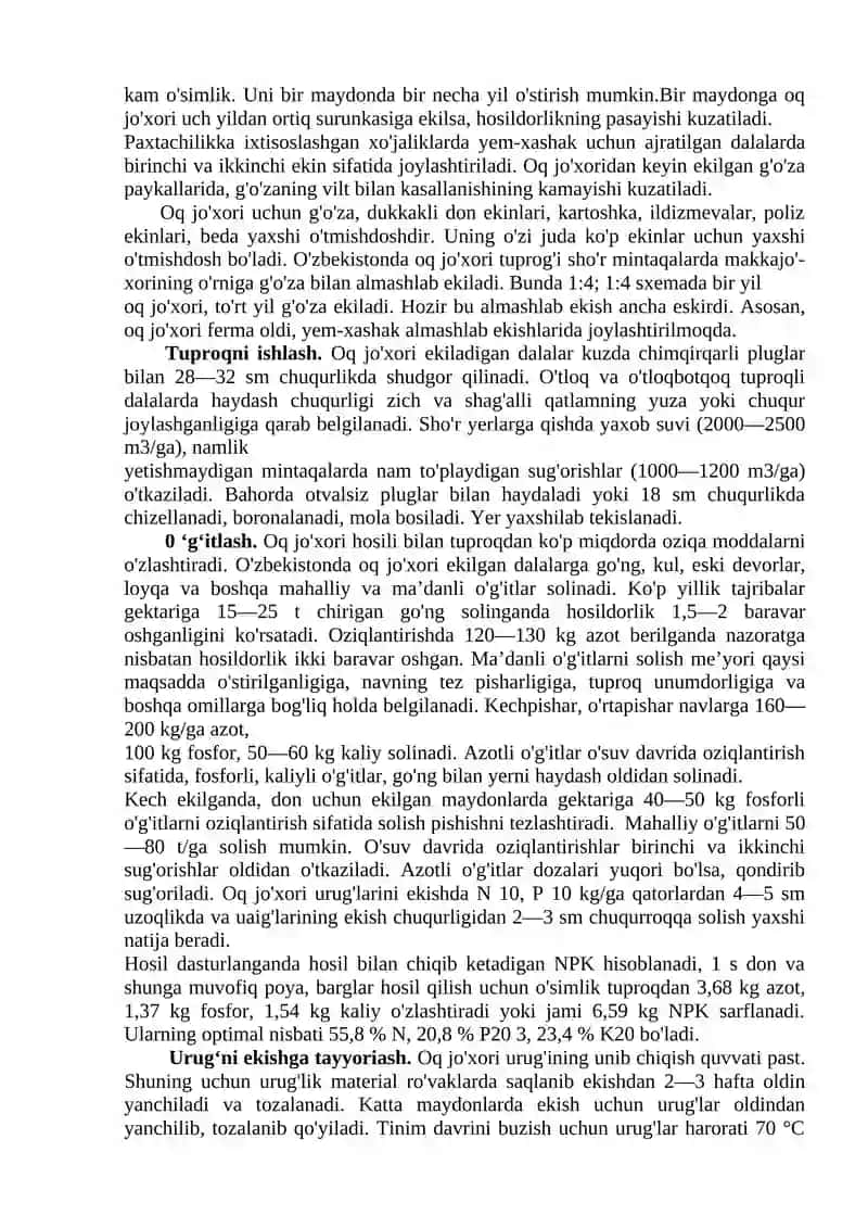 Jo’xori o’simligi va uni yetishtirish agrotexnikasi 4