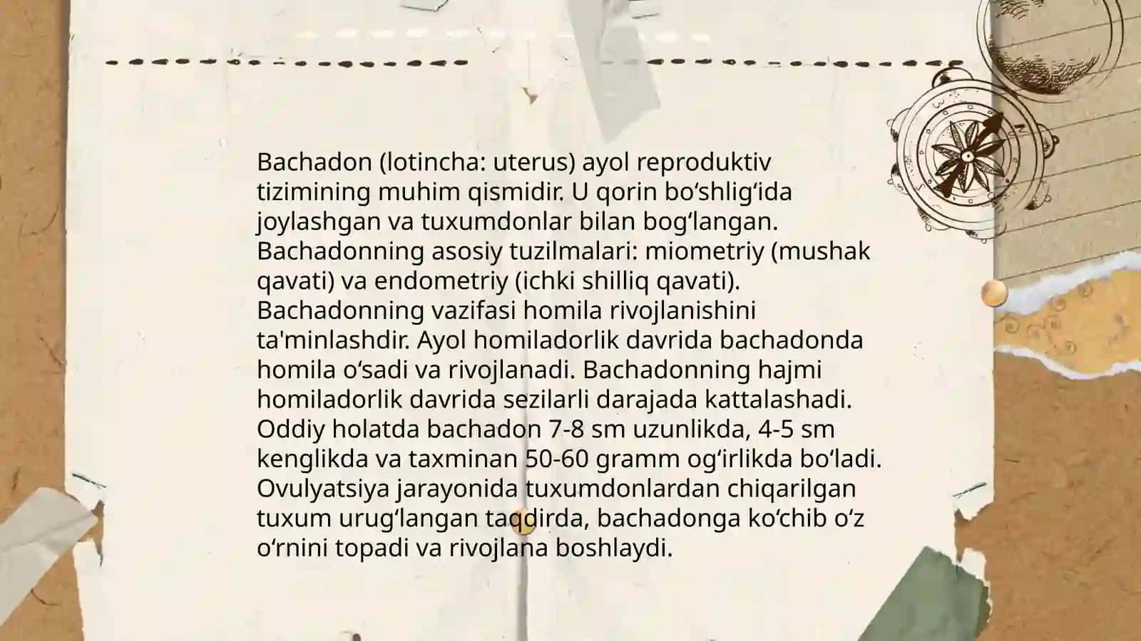 Ayollar jinsiy tizimi. Bachadon, sut bezi 4